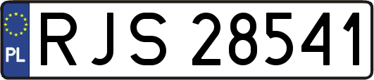 RJS28541
