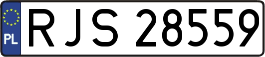 RJS28559