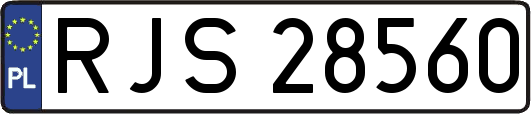 RJS28560