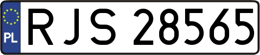 RJS28565