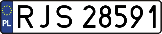 RJS28591