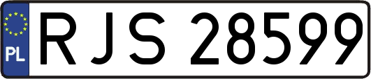 RJS28599