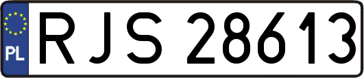 RJS28613