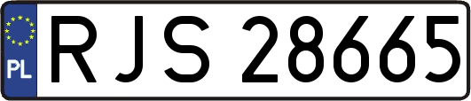 RJS28665