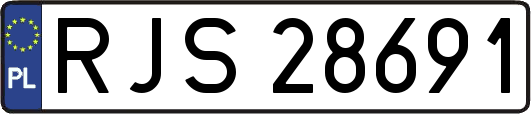 RJS28691