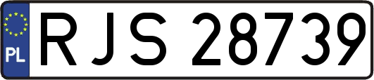 RJS28739