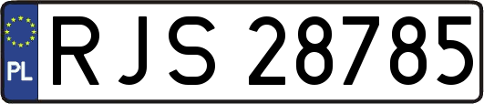 RJS28785