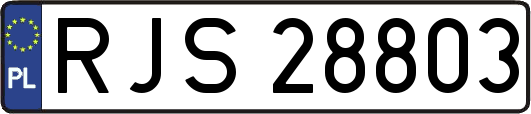 RJS28803