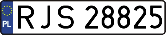 RJS28825