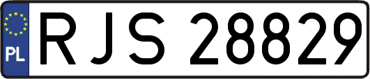 RJS28829