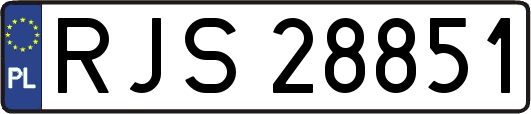 RJS28851