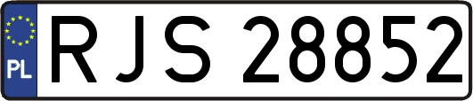 RJS28852