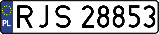 RJS28853