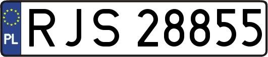 RJS28855
