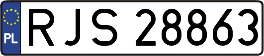 RJS28863