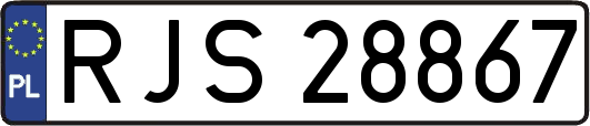 RJS28867
