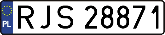 RJS28871