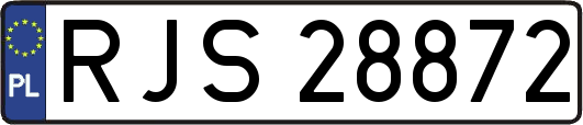 RJS28872