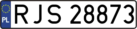 RJS28873