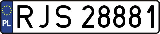 RJS28881