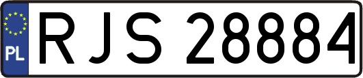 RJS28884