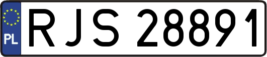 RJS28891