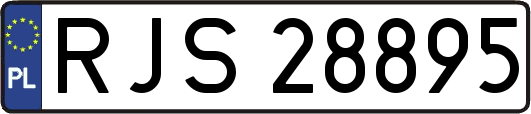 RJS28895