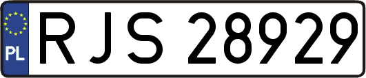 RJS28929