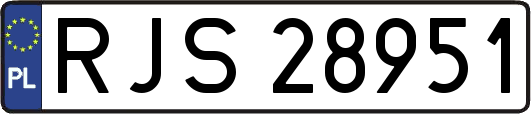 RJS28951