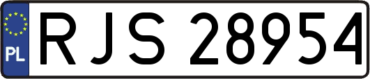 RJS28954