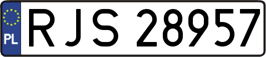 RJS28957
