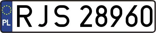 RJS28960