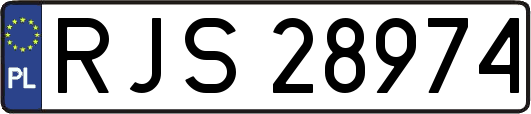 RJS28974