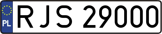 RJS29000