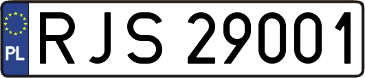 RJS29001