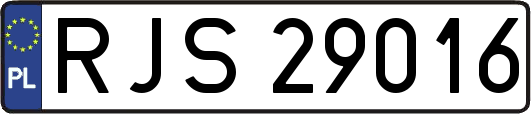 RJS29016
