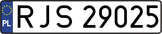 RJS29025
