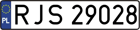 RJS29028