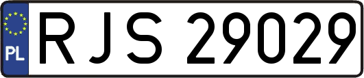 RJS29029