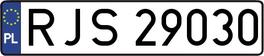 RJS29030