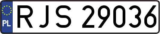 RJS29036