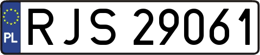 RJS29061