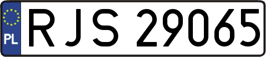 RJS29065