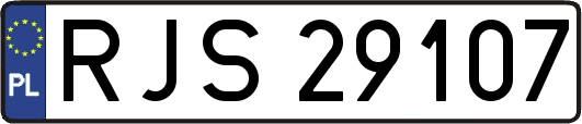 RJS29107