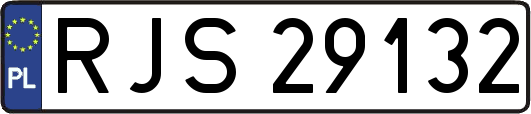 RJS29132