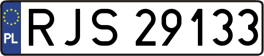 RJS29133