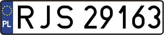 RJS29163