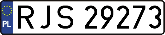 RJS29273