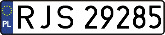 RJS29285