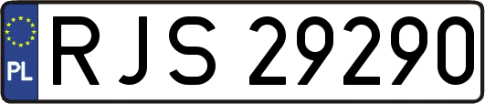RJS29290